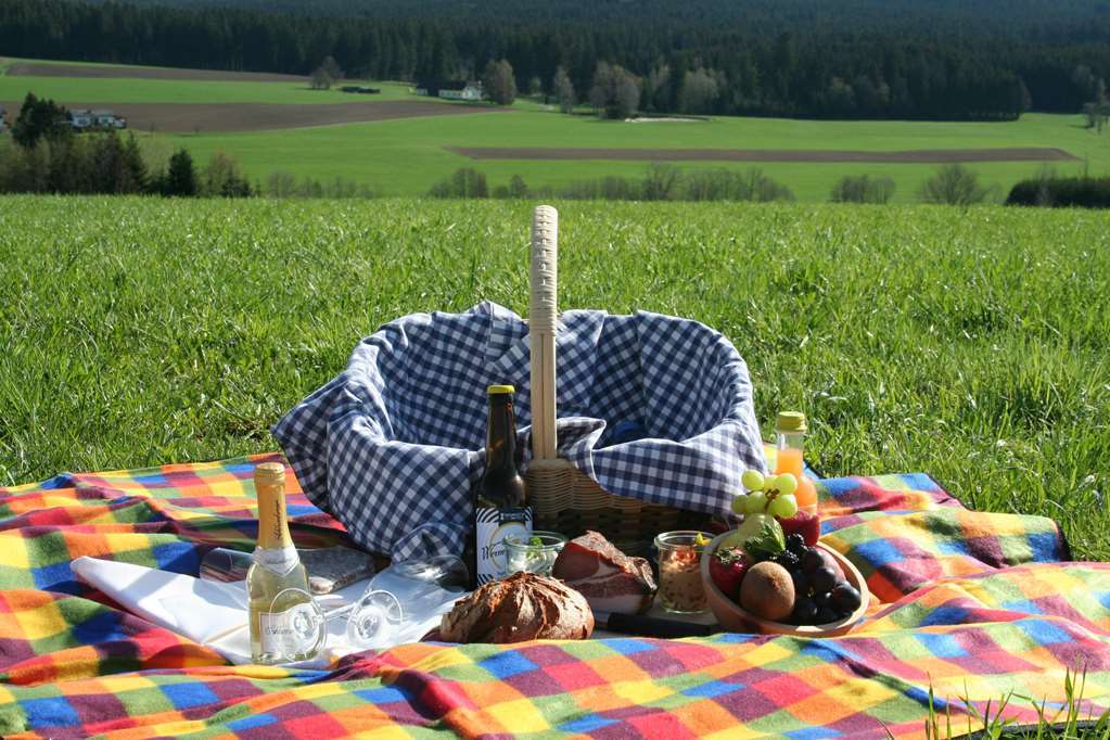 Falkensteiner Hotel Bad Leonfelden Superior (Adults Only) Servicios foto